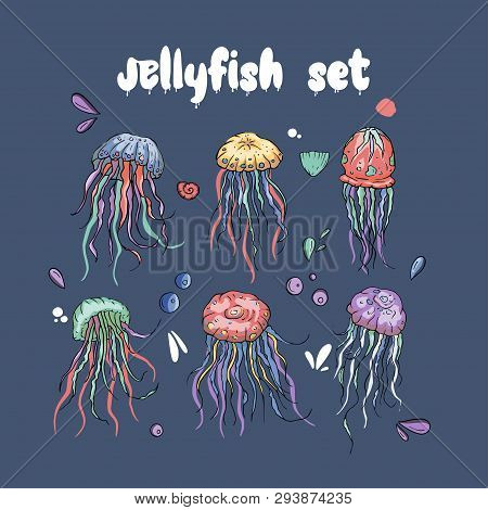 Jelly Fish Vector Set. Sea Animal Vector Collection. Marine Hand Drawn Tropical Animals. Perfect For