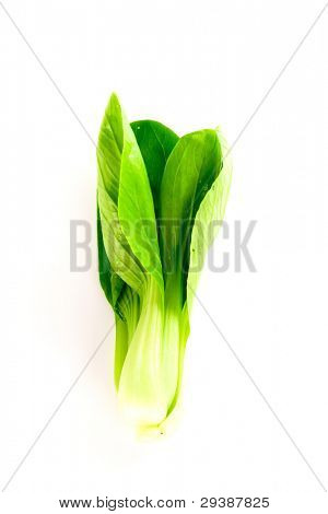 Bok choy (čínské zelí nebo Qing geng cai) izolované na bílém