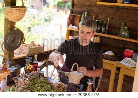 herbalist gardender  small business owner picking gathering fresh herbs for alternative medicine tea and poutting on balance