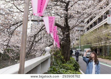 April 02, 2019, Tokyo, Japan - A Woman Takes A Picture Of Cherry Blossoms In Nakameguro River.