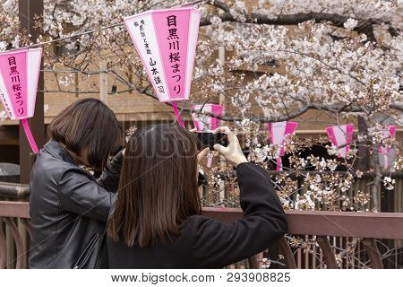April 02, 2019, Tokyo, Japan - Visitors Take Pictures Of Cherry Blossoms In Nakameguro River.