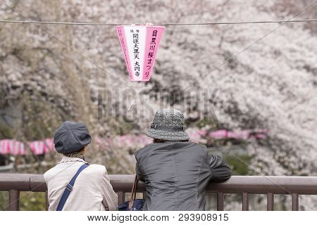 April 02, 2019, Tokyo, Japan - Visitors Enjoy The Cherry Blossoms In Nakameguro River.