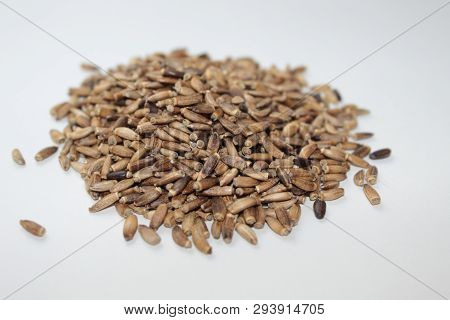 Milk Thistle Seeds For Germination Lie On A White Background