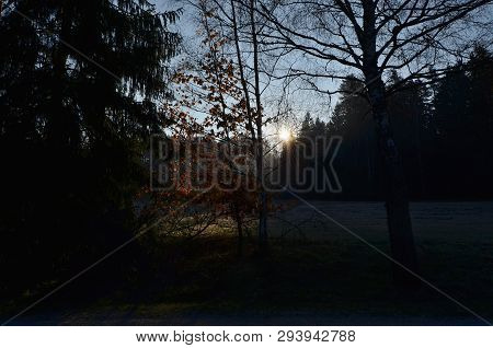 View Ofspring Landscape, Southern Bohemia . Czech Republic