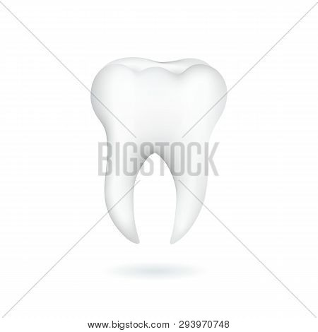 A Healthy Tooth Is Isolated On A White Surface. Vector Illustration.