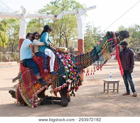 Udaipur, India - January 12, 2019: Tourists Riding On Camel In Shilpgram Village, Rajasthan State