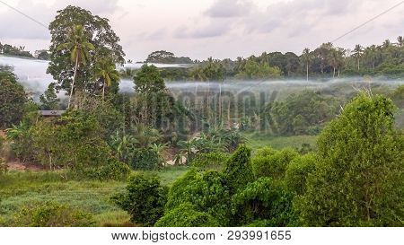 Beautiful Landscape Jungle View And Morning Fog In Bukit Kalam Village,labuan,malaysia.nature Backgr