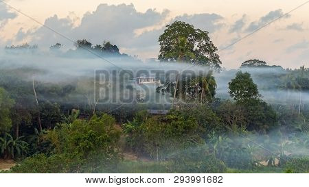 Beautiful Landscape Jungle View And Morning Fog In Bukit Kalam Village,labuan,malaysia.nature Backgr