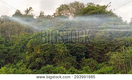 Beautiful Landscape Jungle View And Morning Fog In Bukit Kalam Village,labuan,malaysia.nature Backgr