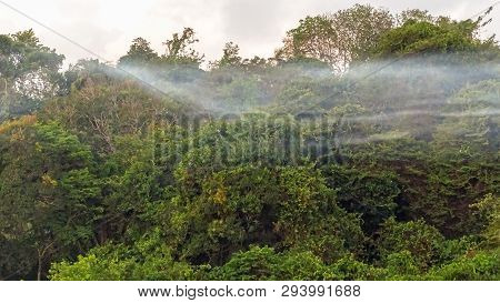 Beautiful Landscape Jungle View And Morning Fog In Bukit Kalam Village,labuan,malaysia.nature Backgr
