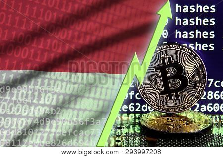 Indonesia Flag And Rising Green Arrow On Bitcoin Mining Screen And Two Physical Golden Bitcoins