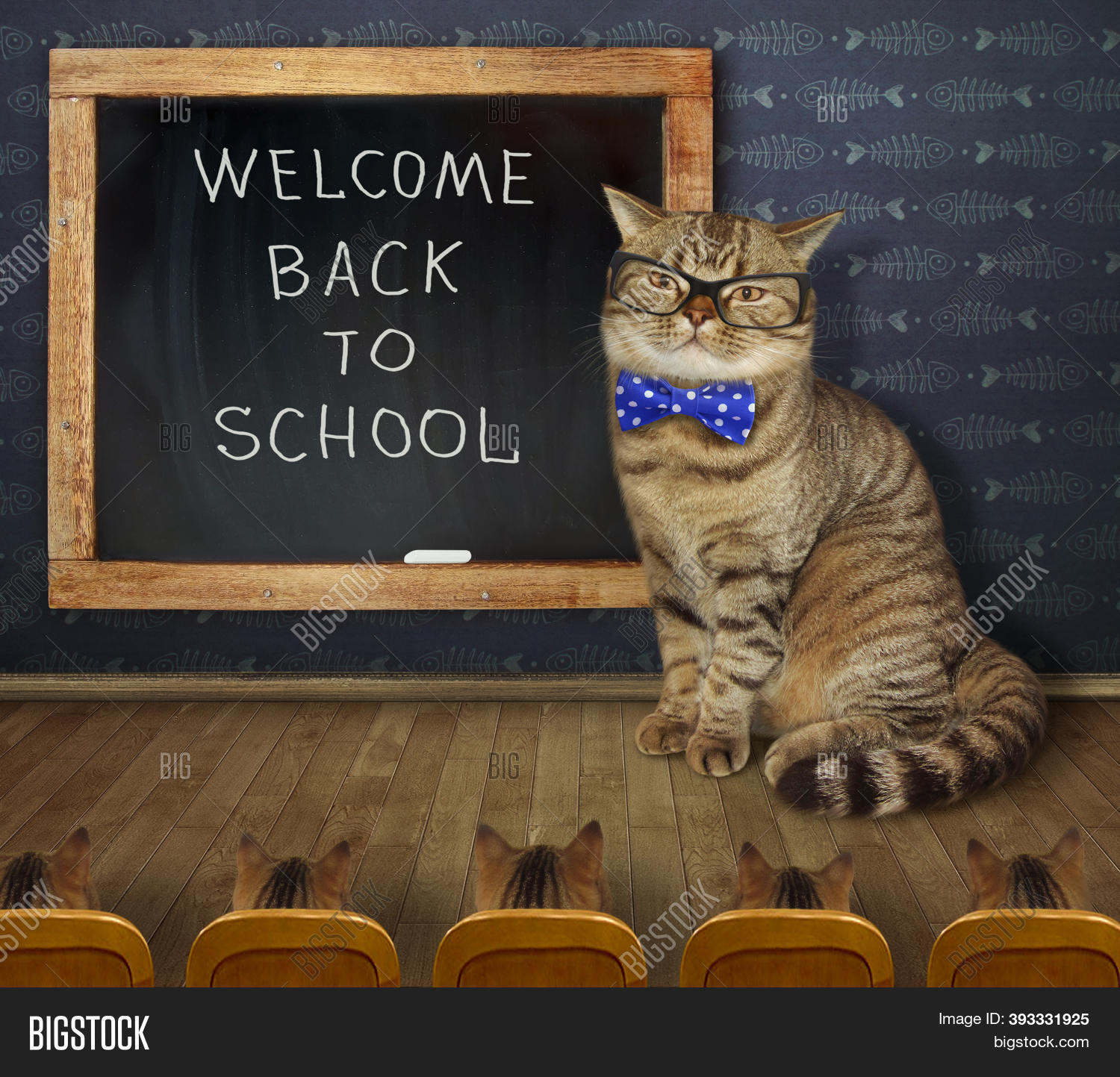 Cat Teacher Wrote On Image & Photo (Free Trial) | Bigstock