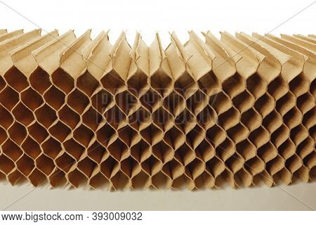 honeycomb cells of cardboard stiffening rib background