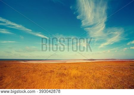 Pink Salt Lake In The Desert. Nture Landscape
