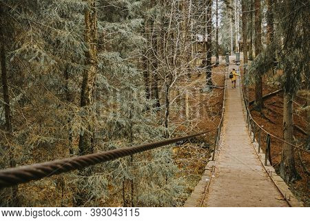 A Suspension Bridge In The Middle Of The Forest. An Old Wooden Suspension Bridge Of Ropes Lies Among