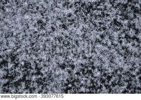 Snow Fall And Snowflakes Covered On Grass On Land At Top Of Mountain At Tschlin Ramosch Village In A