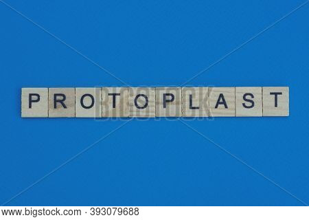 Gray Word Protoplast In Small Square Wooden Letters With Black Font On A Blue Background