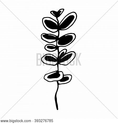 Twig Single Vector Illustration .contour Handmade Image