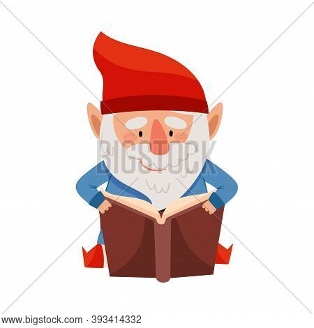 Funny Gnome Character With Red Pointed Hat And White Beard Reading Book Vector Illustration