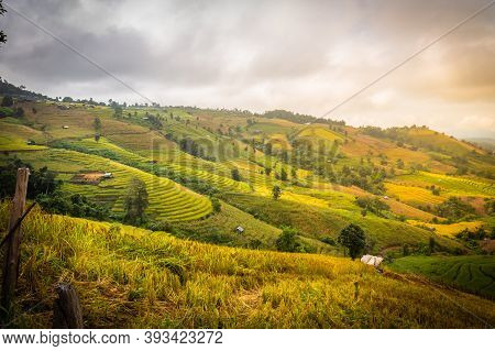 Landscape Of Rice Terraces On Mountain At Ban Pa Pong Piang, Doi Din Thanon, Chiang Mai, Thailand
