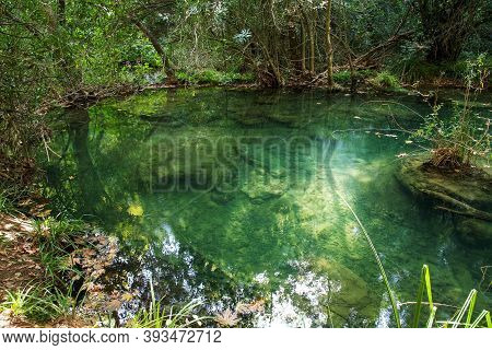 Transparent Forest Lake Near Kurşunlu Waterfall In Antalya In Turkey