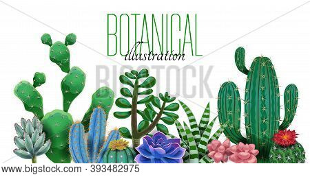 Cactus Composition With Editable Ornate Text And Images Of Cactus Plants Of Different Species And Sh