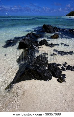 Ember- és ejtőernyős-Ile Du Cerfs