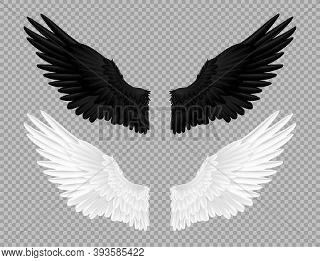 Black And White Angel Wings. Swans And Crows Feather, Bird Carnival Costume. Parts Of Flying Feather
