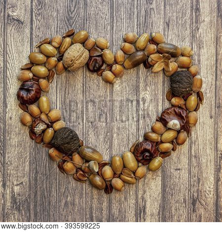 Autumn Frame With Brown Hazelnuts, Walnuts, Acorns, Chestnuts And Beechnuts On A Wooden Background W