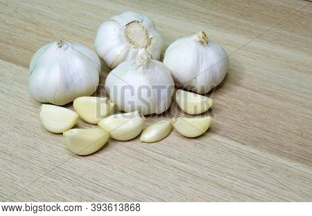 Garlic (allium Sativum) - A Species In The Onion Genus, Allium