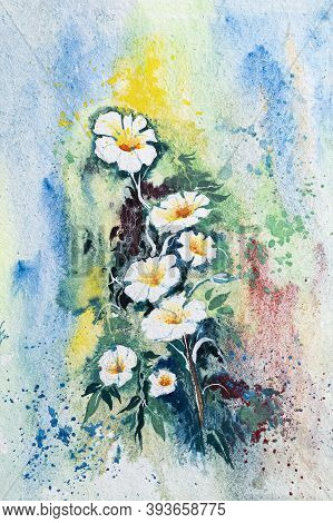 Beautiful Watercolor Flower Painting With White Background. Indian Watercolor Art, Hand Paimted By B