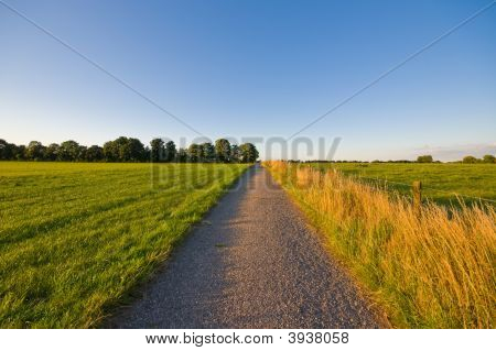 国家公路 Farmlandscape