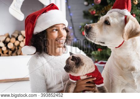 African American Girl In Santa Hat Looking At Labrador Dog While Holding Fluffy Cat On Blurred Backg