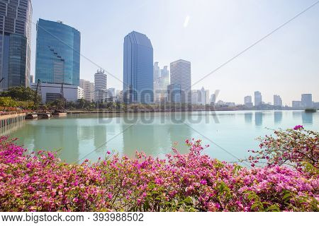 Cityscape Of The Office Building At Benchakitti Park In The Morning At Bangkok, Thailand. Tall Build