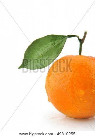 Incomplète orange seul isolé