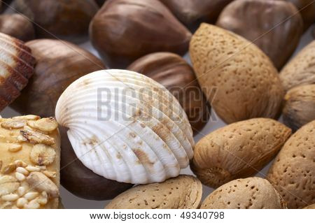 glanzende kastanjes, crackers, amandelen en schelpen