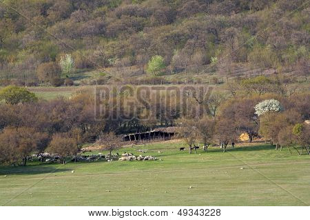 landscape with mountains/hills and a field with a sheepfold