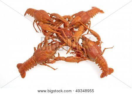 กุ้งแดงแยก