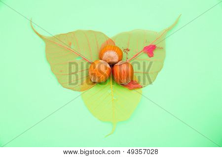 nocciole e foglie trasparenti colorati su sfondo verde
