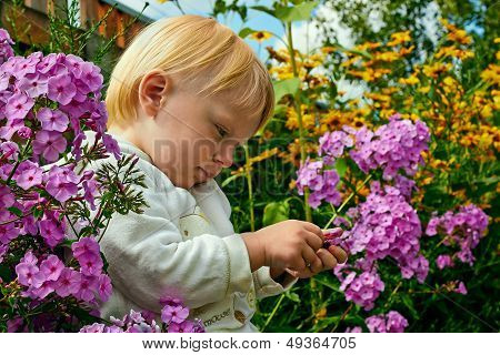 Little Dreaming  Girl