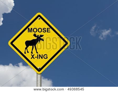 Use Caution Moose Are Present
