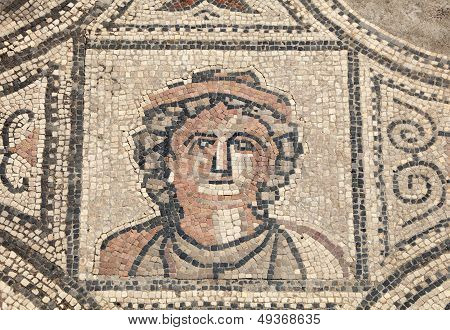 Ancient Roman Mosaic In Volubilis