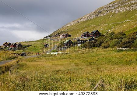 houses