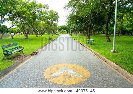 Walkway In The Park.