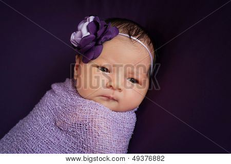 Newborn Baby Girl In Lavender And Purple