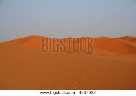 撒哈拉沙漠