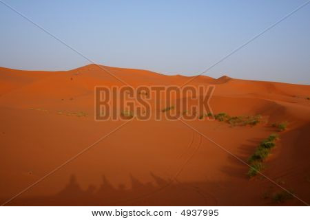 撒哈拉沙漠
