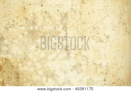 Old Moldy Canvas