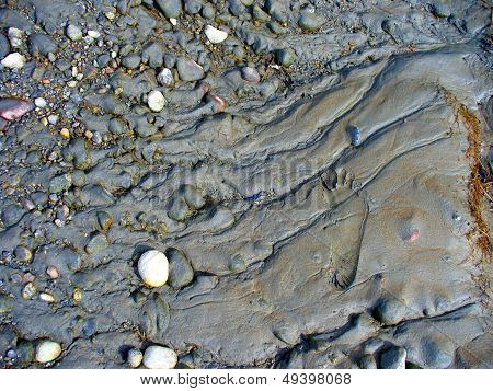 Footprint in Mud