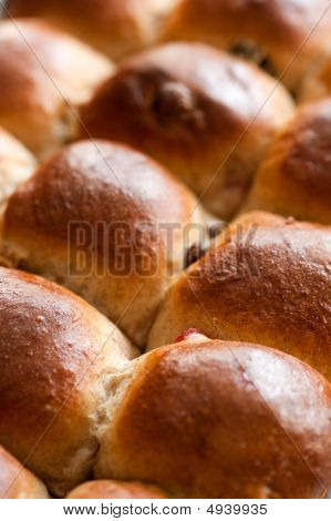 Panini Hotcross